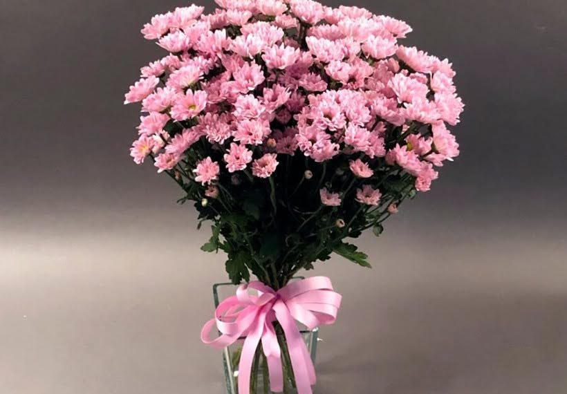 دسته گل داوودی خوشه‌ای صورتی