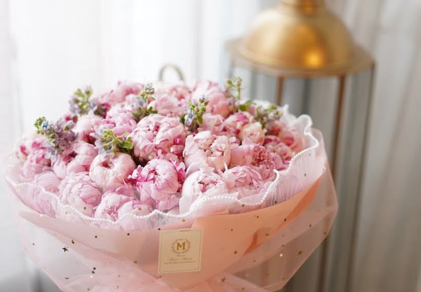 پیونی سارا برنهارت