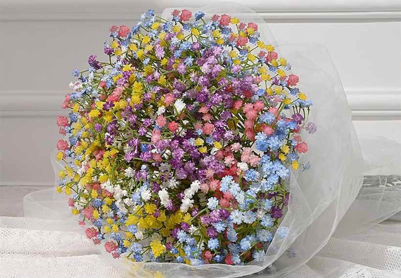 رنگ های مختلف گل ژیپسوفیلا