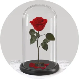 Eternal Rose Category