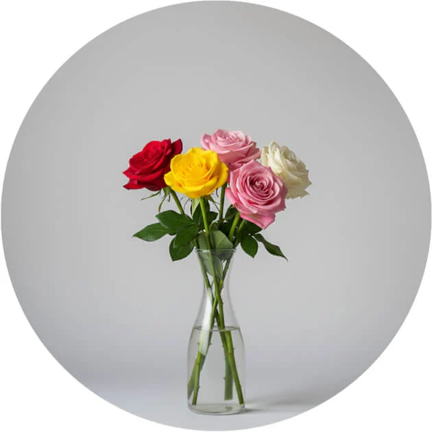 Rose Flower Category