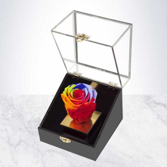 باکس رز جاودان هفت‌رنگ شیک