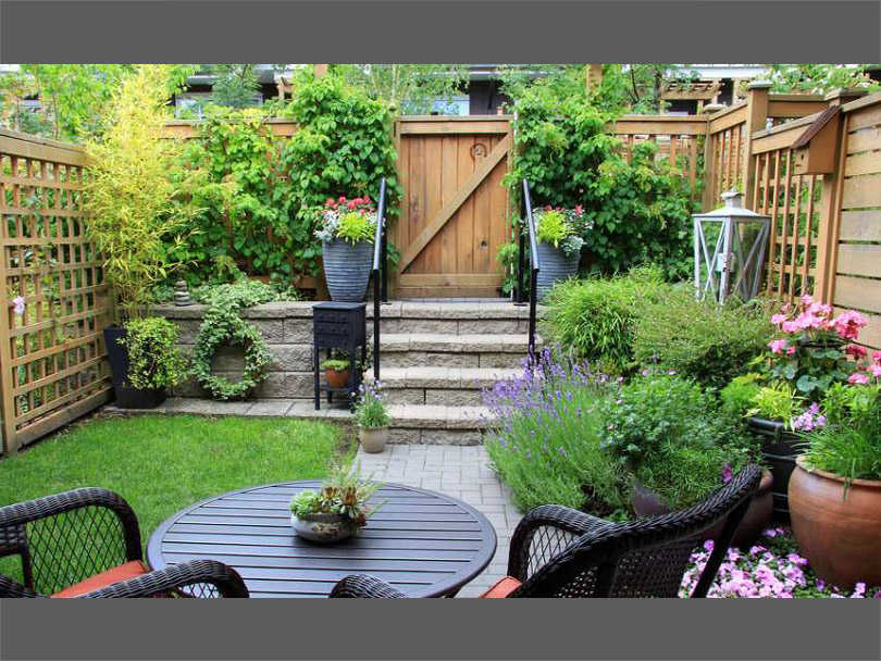 ارتباط گیاهان آپارتمانی و محیط پیرامون