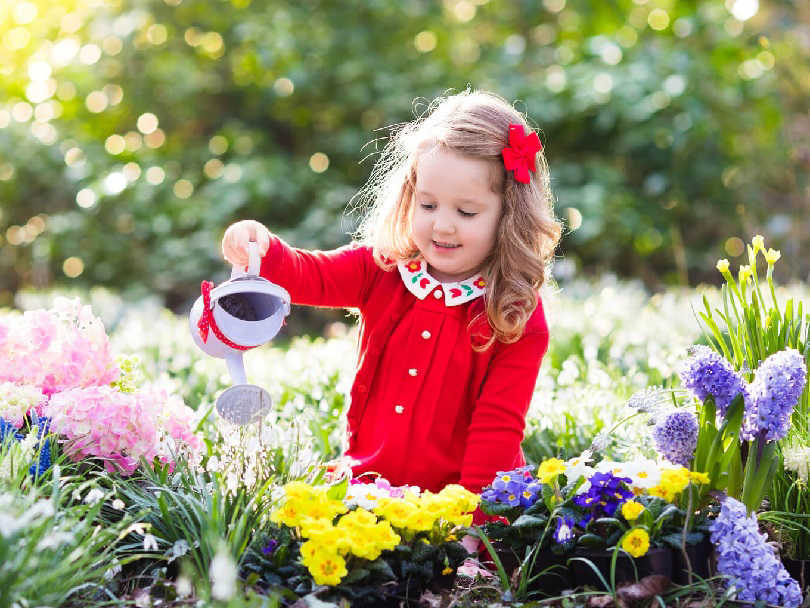 نقش گل و گیاه در رشد کودک نقش گل و گیاه در رشد کودک