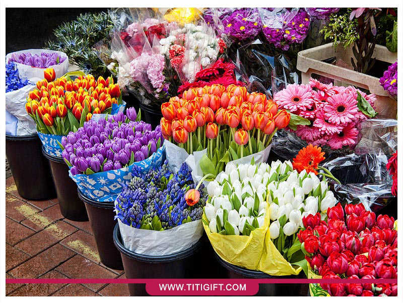 خرید آنلاین گل و گیاه