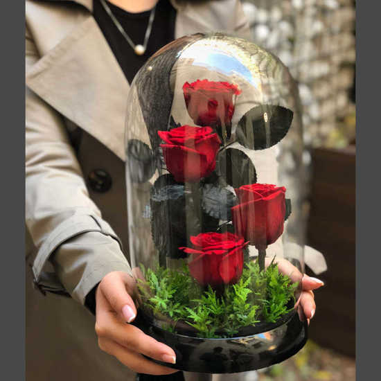 خريد آنلاين گل رز جاودان دیو و دلبر 4 شاخه-خرید آنلاین گل، کادو و هدیه در  تهران | گل فروشی تی تی گیفت