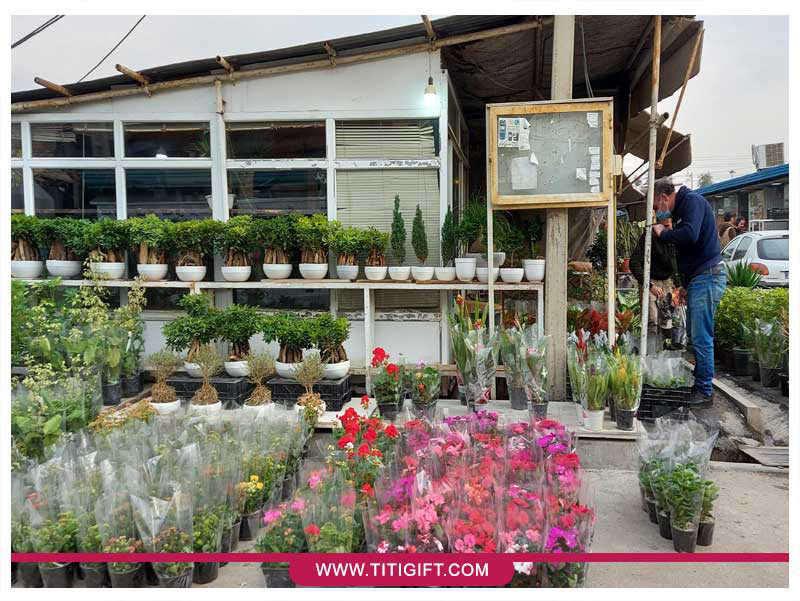 بازار گل امام رضا(خاوران) تهران