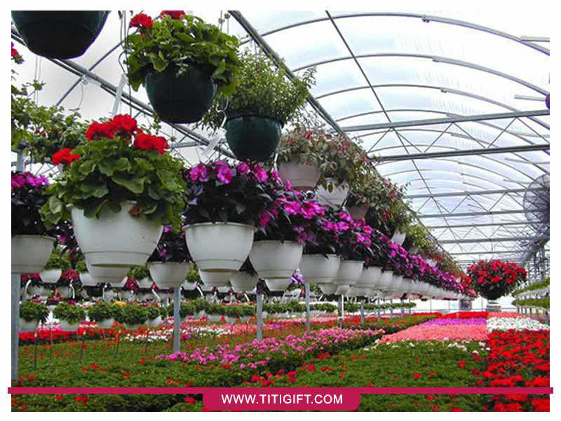 بازار گل شهید فکوری تهران