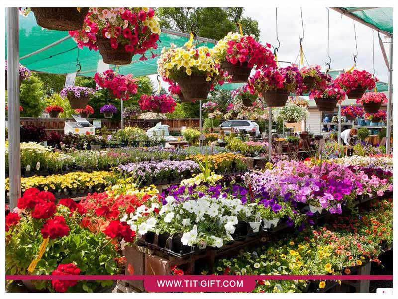 بازار گل شهید لشگری تهران