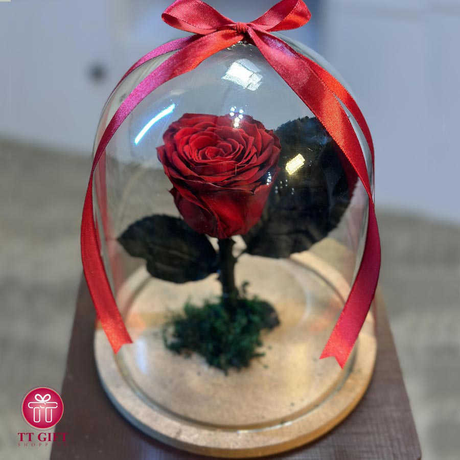 Classic Red Eternal Rose