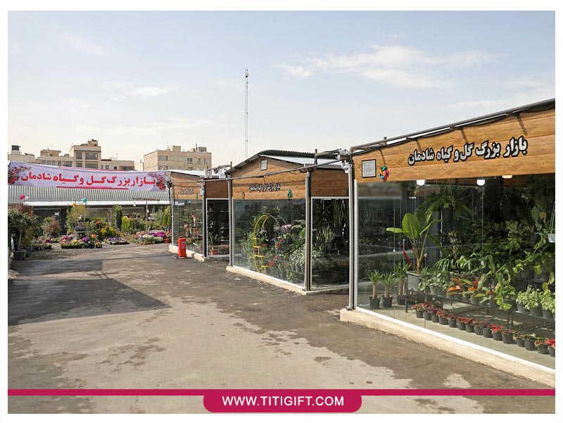 بازار گل شادمان تهران بازار گل شادمان تهران