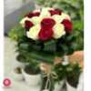 دسته گل رز قرمز و سفید فلامک