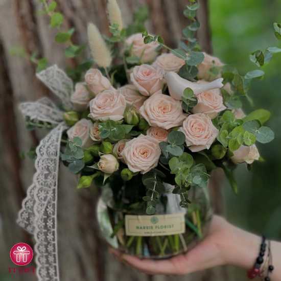 گلدان گل رز مینیاتوری صورتی آروینا