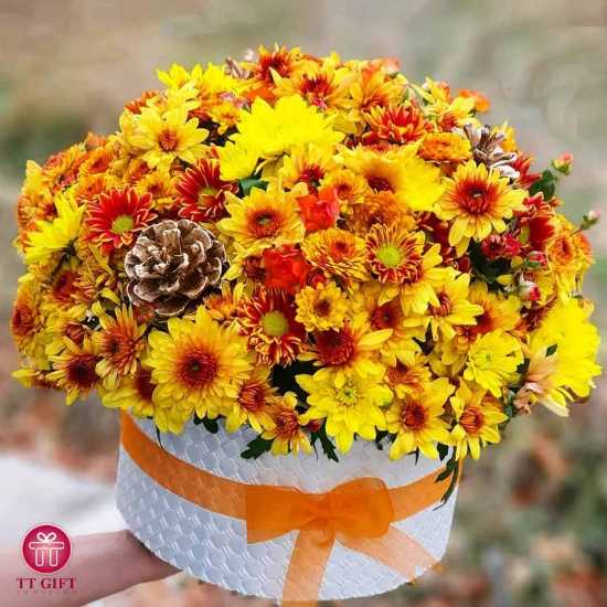 باکس گل داوودی زرد الهه برای تشکر