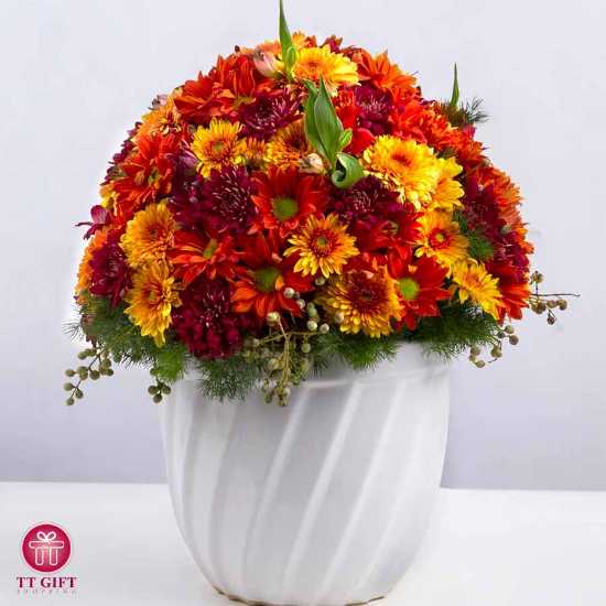 گلدان گل داوودی نارنجی چاوان برای افتتاحیه