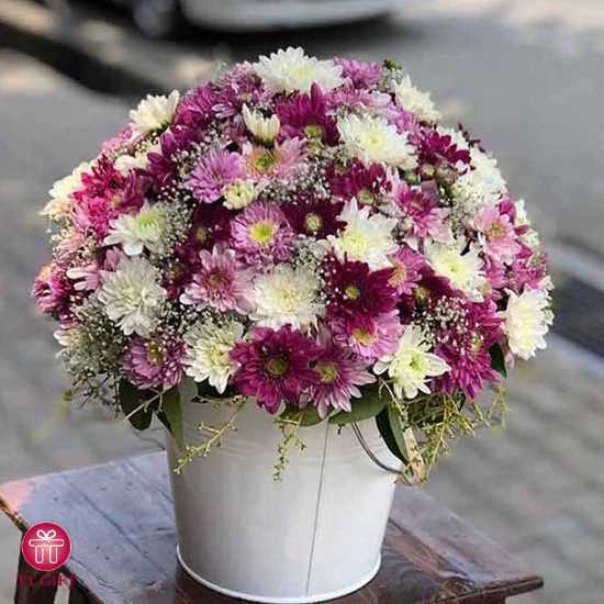 باکس گل داوودی سفید و بنفش جوانه برای تشکر