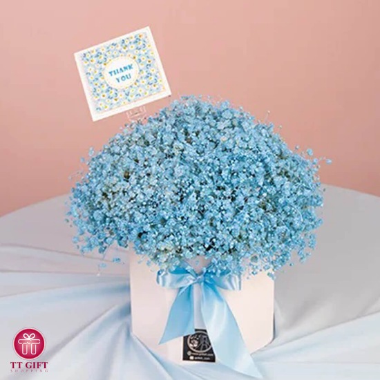 باکس گل ژیپسوفیلا آبی آریانا برای تولد