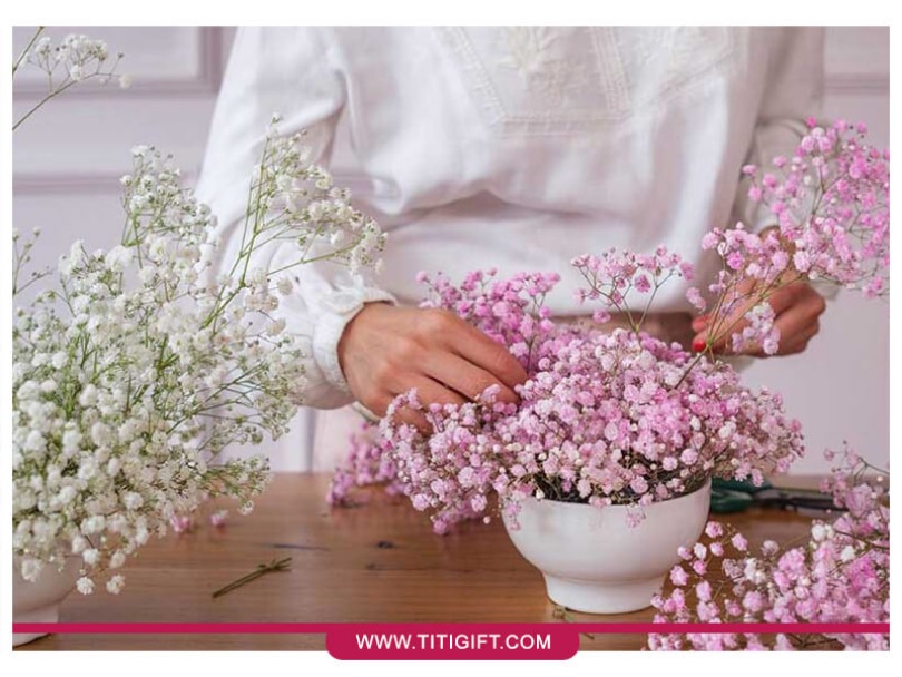 گل ژیپسوفیلا نماد چیست و هر رنگ آن چه معنایی دارد؟
