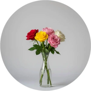 تصویر برای دسته  گل رز
