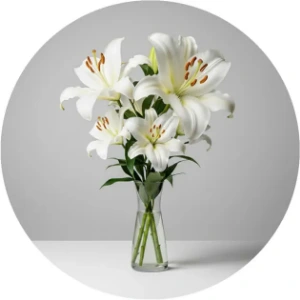 تصویر برای دسته  گل لیلیوم