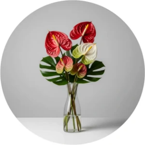 تصویر برای دسته  گل آنتوريوم