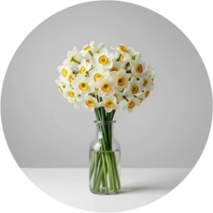 تصویر برای دسته  گل نرگس