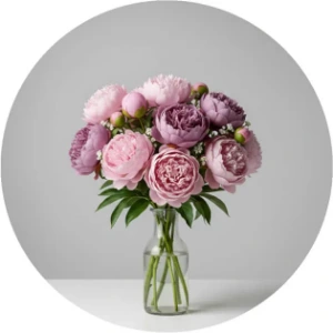 تصویر برای دسته  گل پیونی