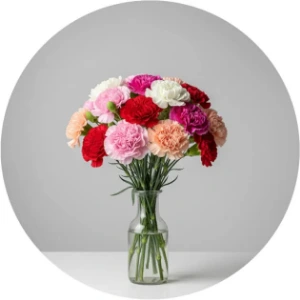 تصویر برای دسته  گل میخک