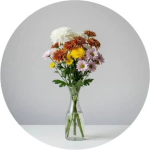 تصویر برای دسته  گل داوودی