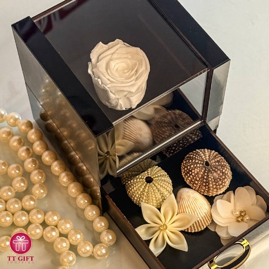 گل رز جاودان سفید موزیکال کشودار