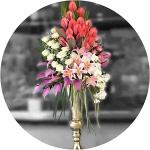 Picture for category Opening Flowers