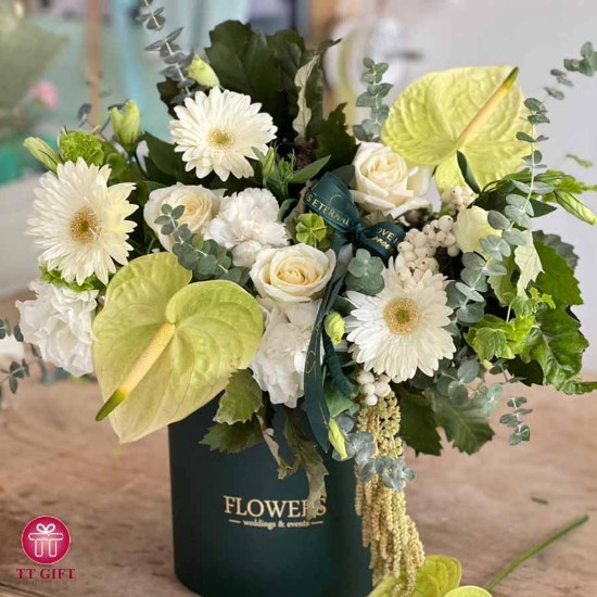 باکس گل رز و آنتریوم و ژربرا دینا