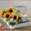 تصویر  پکیج کیک و گل سالی
