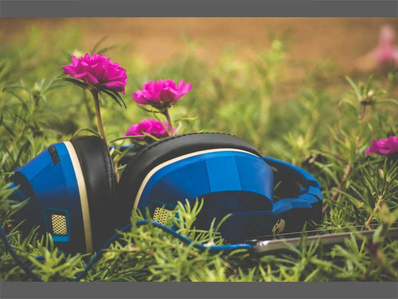 The Effect of Music on Plant Growth