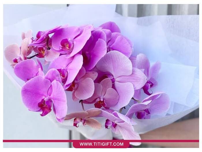 ارکیده بنفش